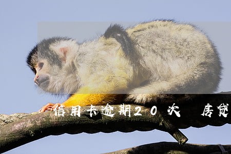 信用卡逾期20次 房贷 信用卡逾期20次 房贷